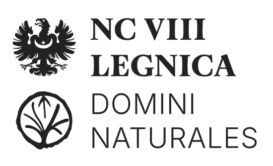 Numismatic Conference in Legnica Poland