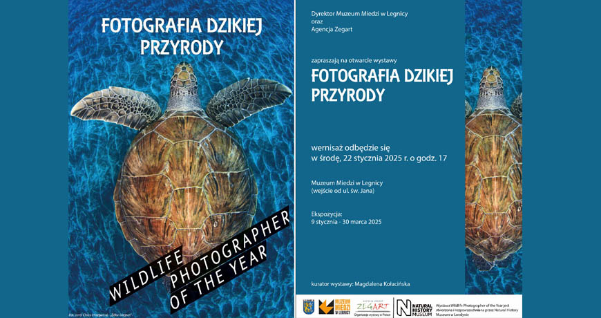 Fotografia dzikiej przyrody w Muzeum Miedzi