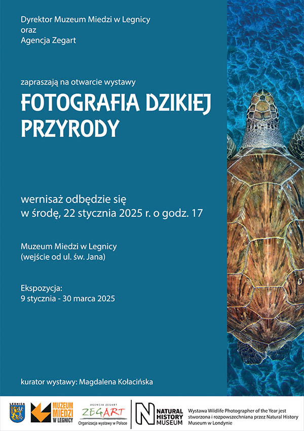 Fotografia dzikiej przyrody w Muzeum Miedzi - zaproszenie