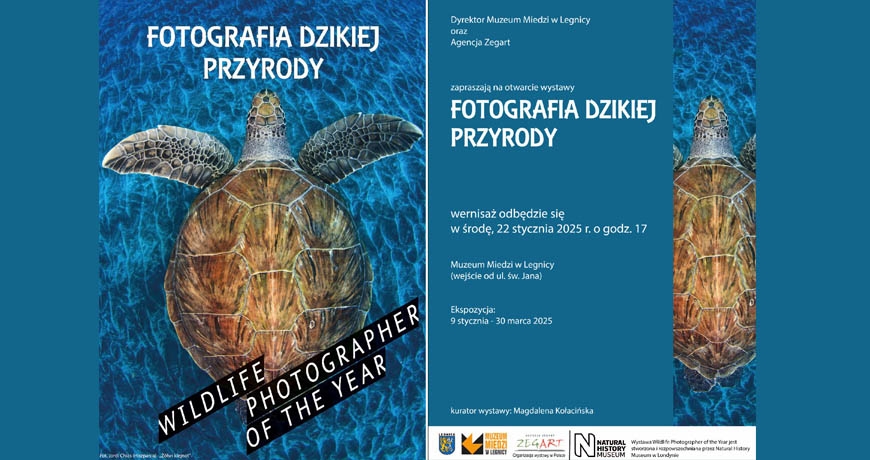 Fotografia dzikiej przyrody w Muzeum Miedzi