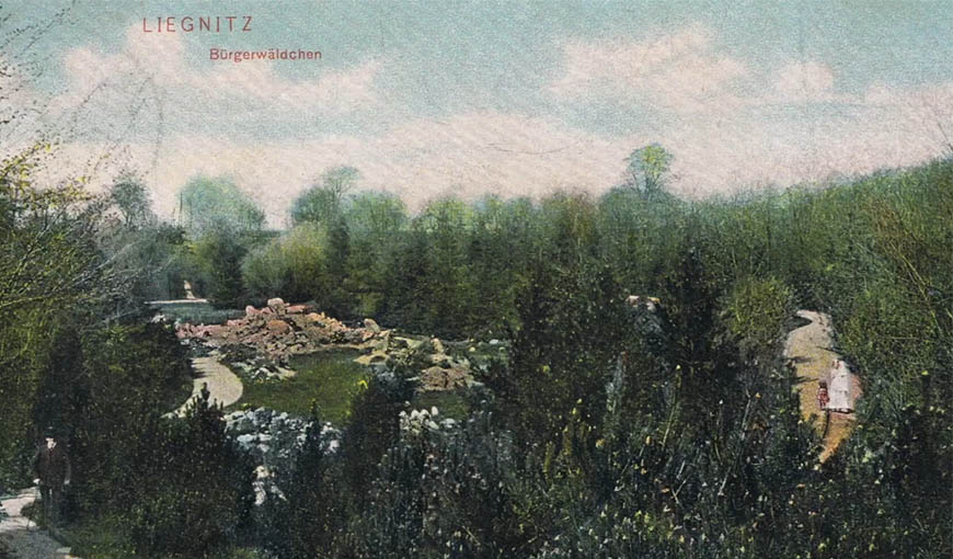 Opowieści ukryte w zieleni. Historyczne i przyrodnicze ciekawostki Lasku Złotoryjskiego