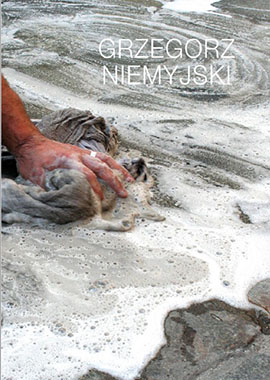 Katalog - Grzegorz Niemyjski 