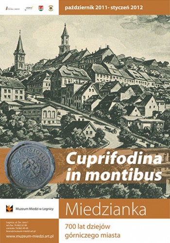 MIEDZIANKA - 700 LAT DZIEJÓW GÓRNICZEGO MIASTA